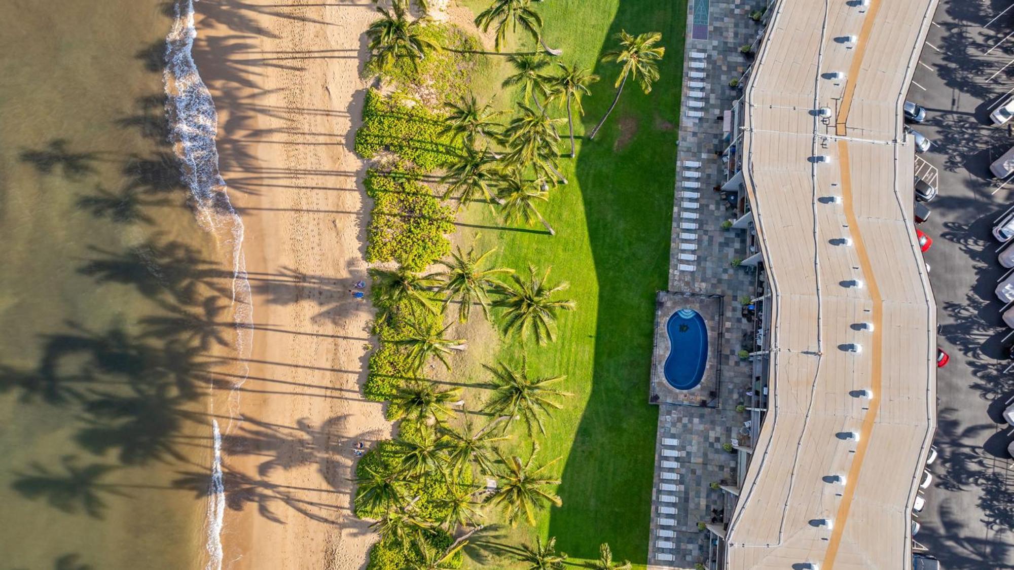 Hale Kai O'Kihei 317 Apartment Екстериор снимка