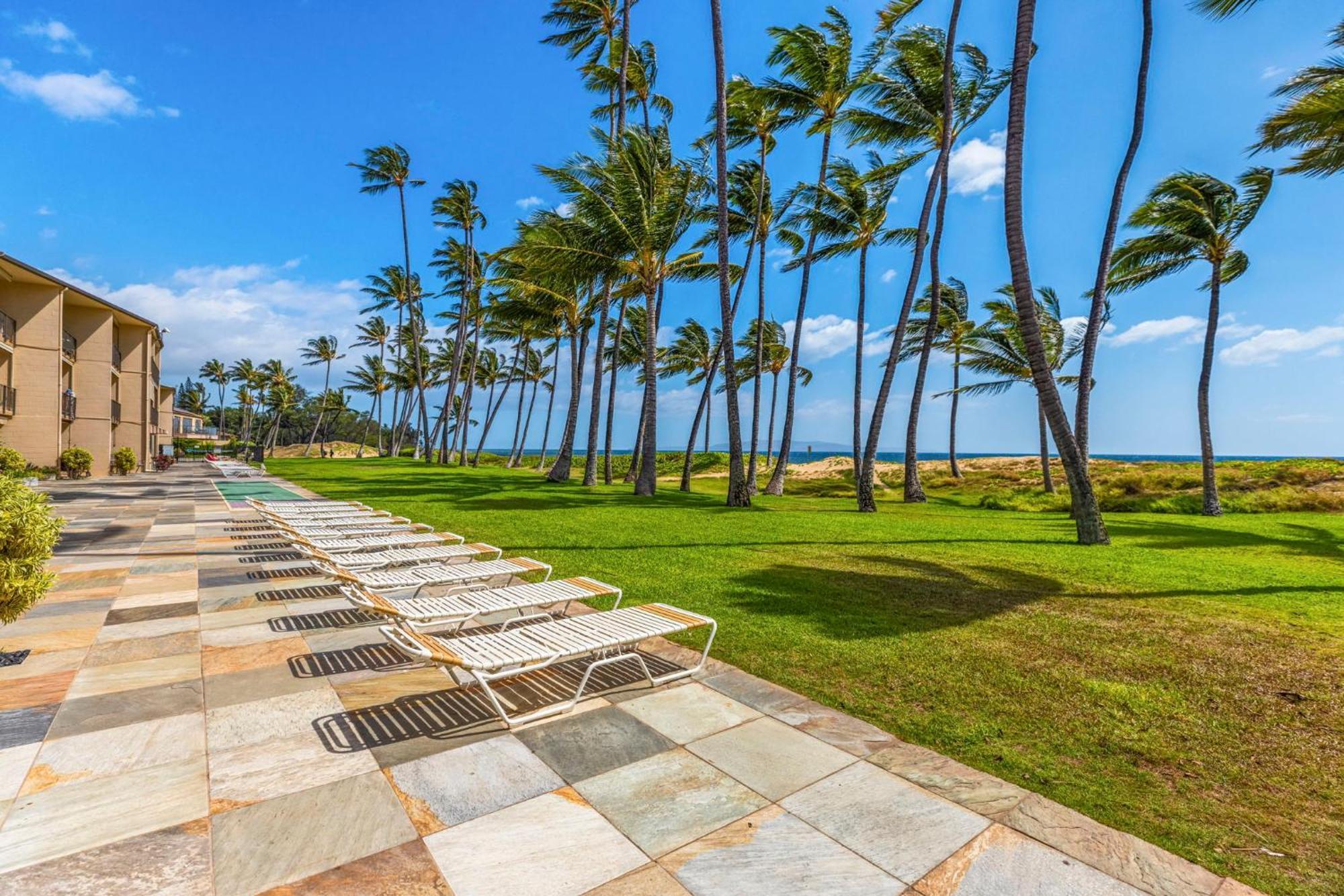 Hale Kai O'Kihei 317 Apartment Екстериор снимка