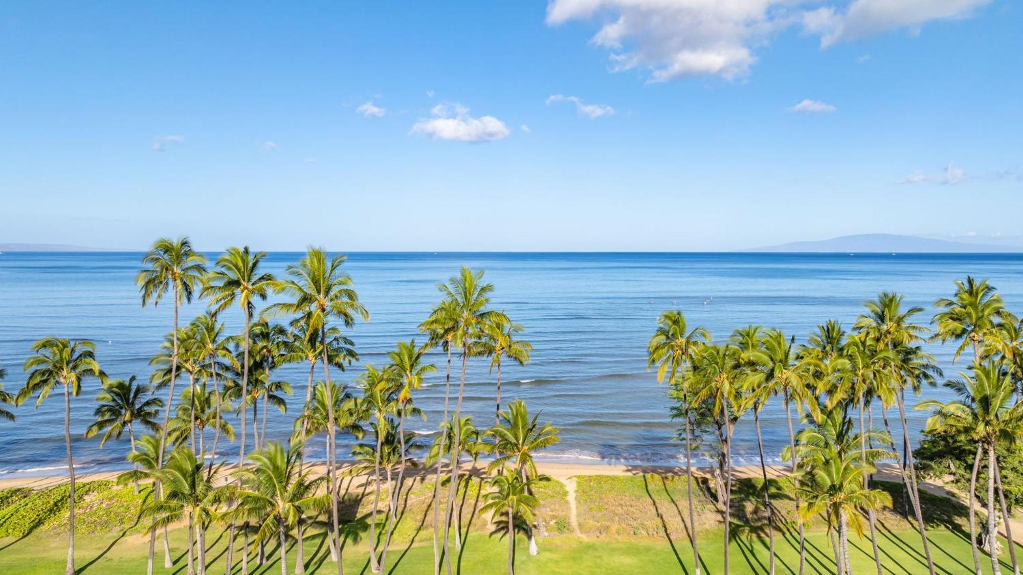 Hale Kai O'Kihei 317 Apartment Екстериор снимка