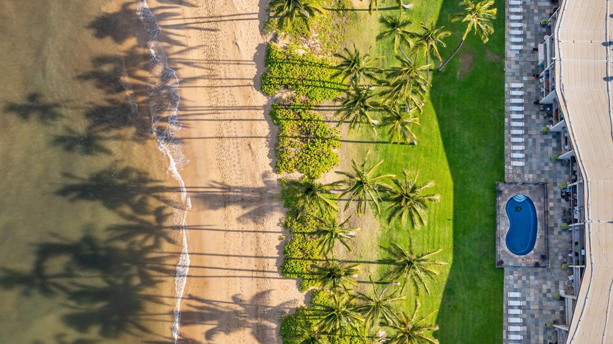 Hale Kai O'Kihei 317 Apartment Екстериор снимка