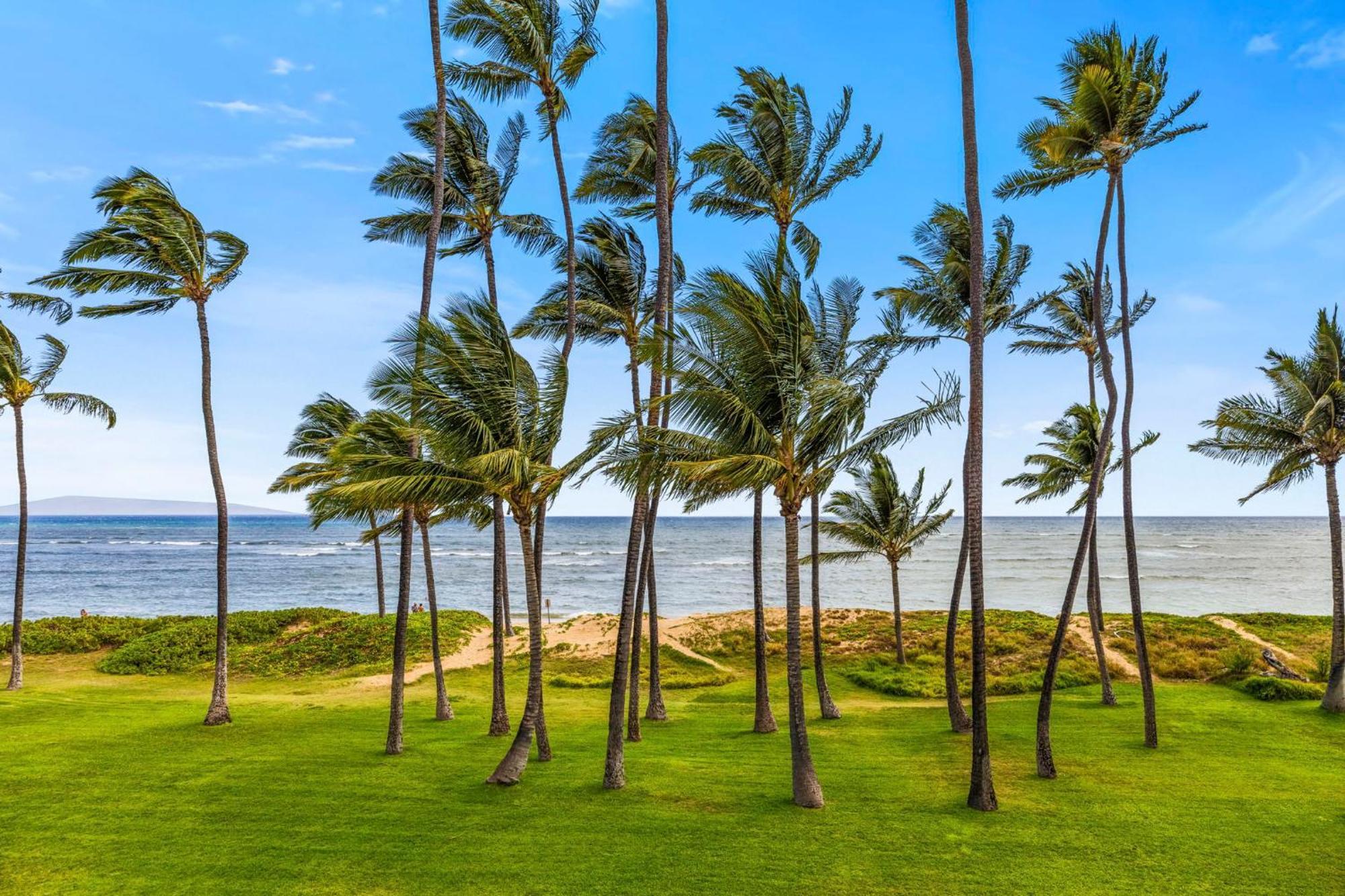 Hale Kai O'Kihei 317 Apartment Екстериор снимка