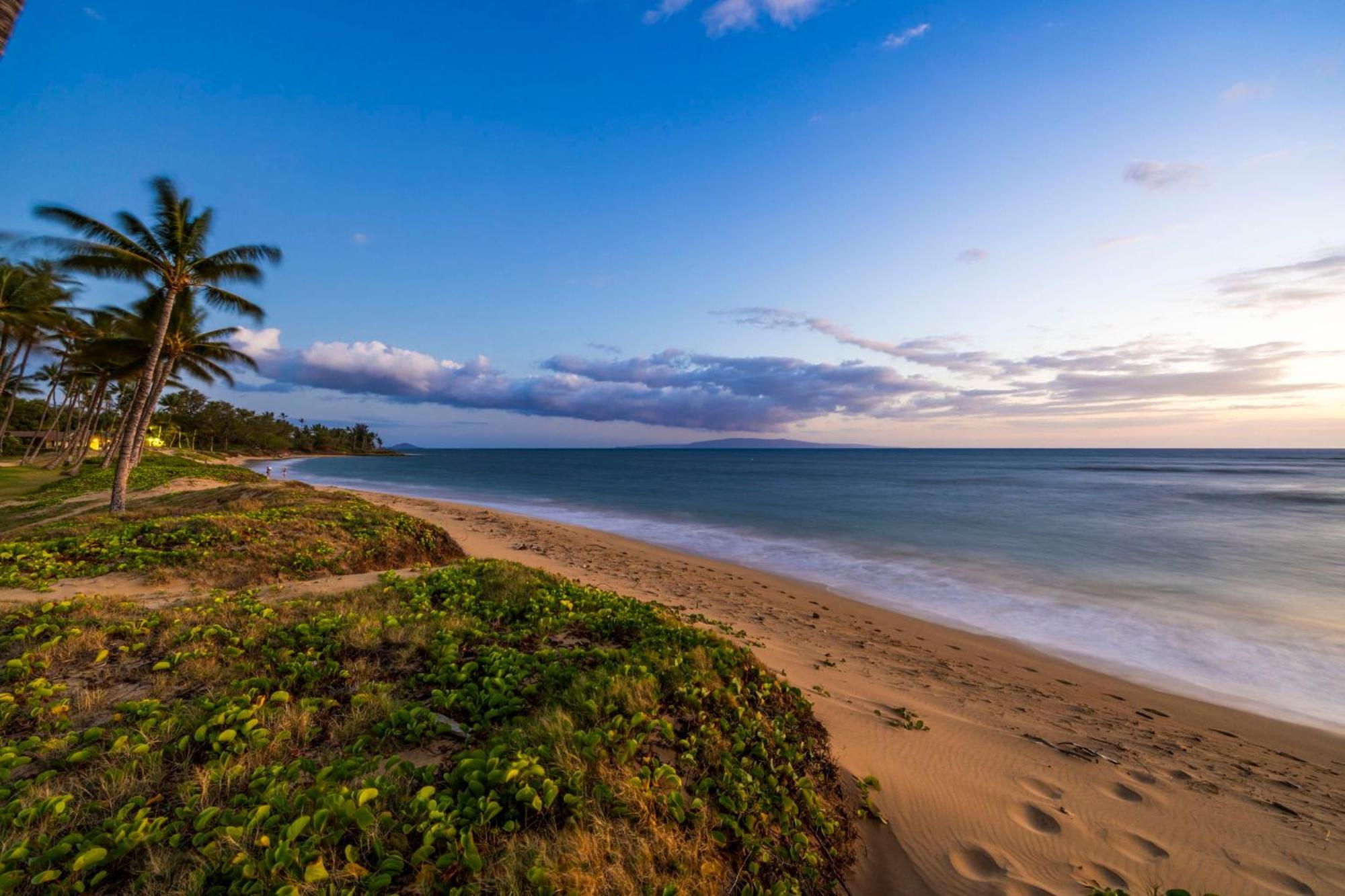Hale Kai O'Kihei 317 Apartment Екстериор снимка