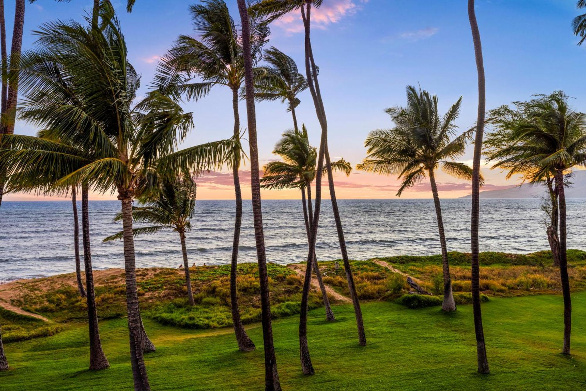 Hale Kai O'Kihei 317 Apartment Екстериор снимка
